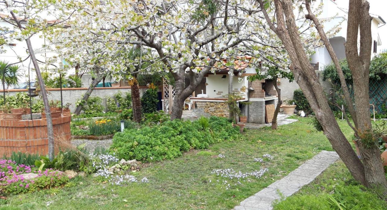 ואדה Room Garden מראה חיצוני תמונה